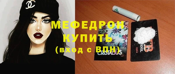 шишки Ельня
