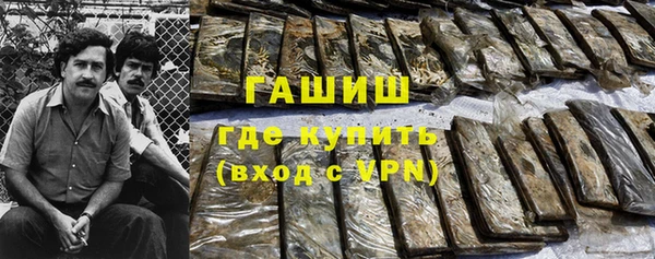 шишки Ельня