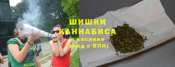 шишки Ельня