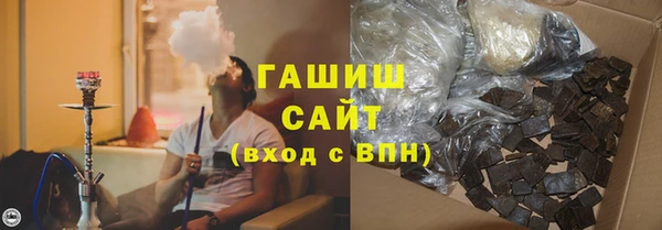 шишки Ельня