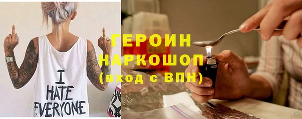 шишки Ельня