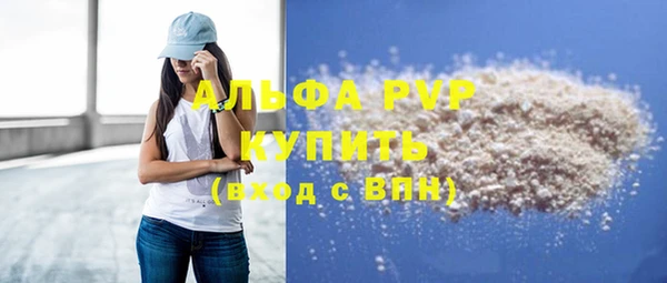 шишки Ельня