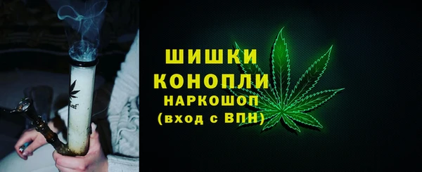 шишки Ельня