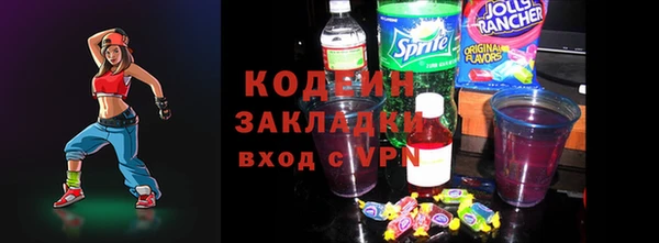 шишки Ельня