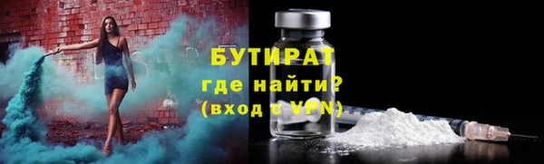 шишки Ельня