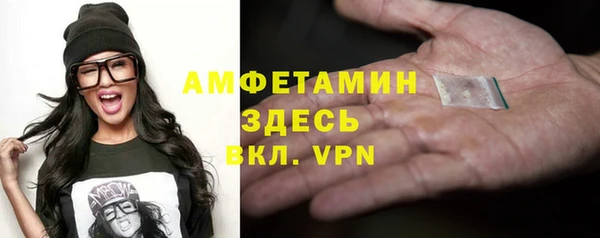 шишки Ельня