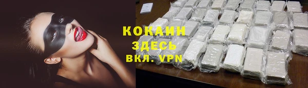 шишки Ельня