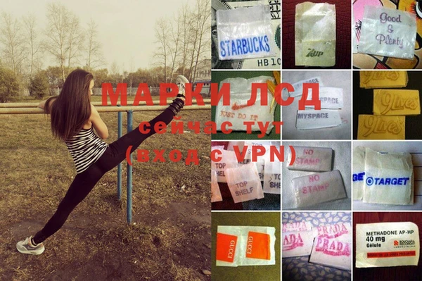 шишки Ельня