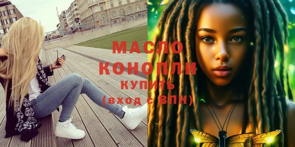 шишки Ельня