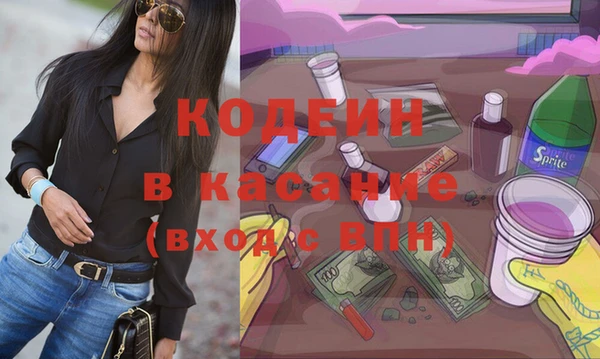шишки Ельня