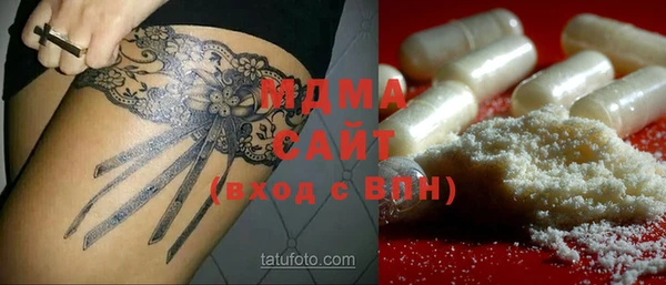 шишки Ельня