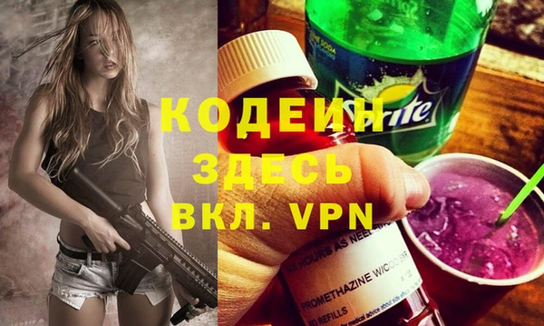 шишки Ельня