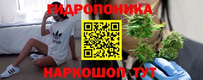 мяу мяу мука Кунгур