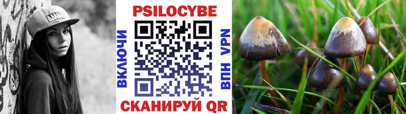 Галлюциногенные грибы мухоморы закладка hydra зеркало Свободный