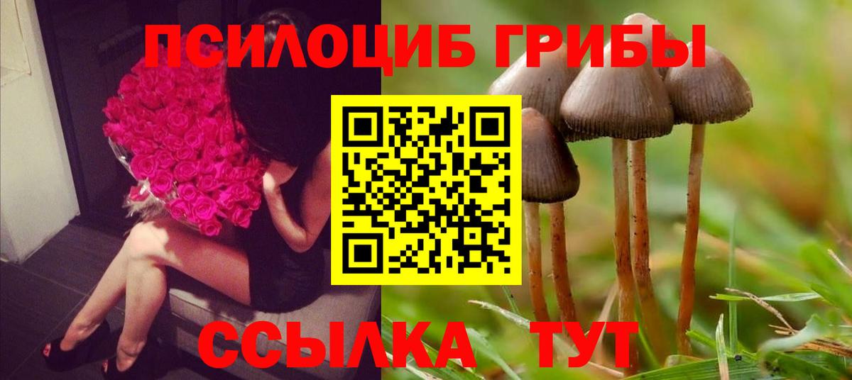 Галлюциногенные грибы ЛСД Свободный
