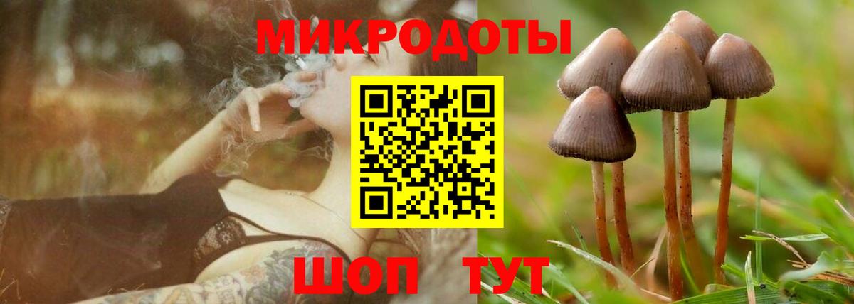 Свободный  Псилоцибиновые грибы Psilocybe  Псилоцибиновые грибы Psilocybine cubensis  Вход с VPN 